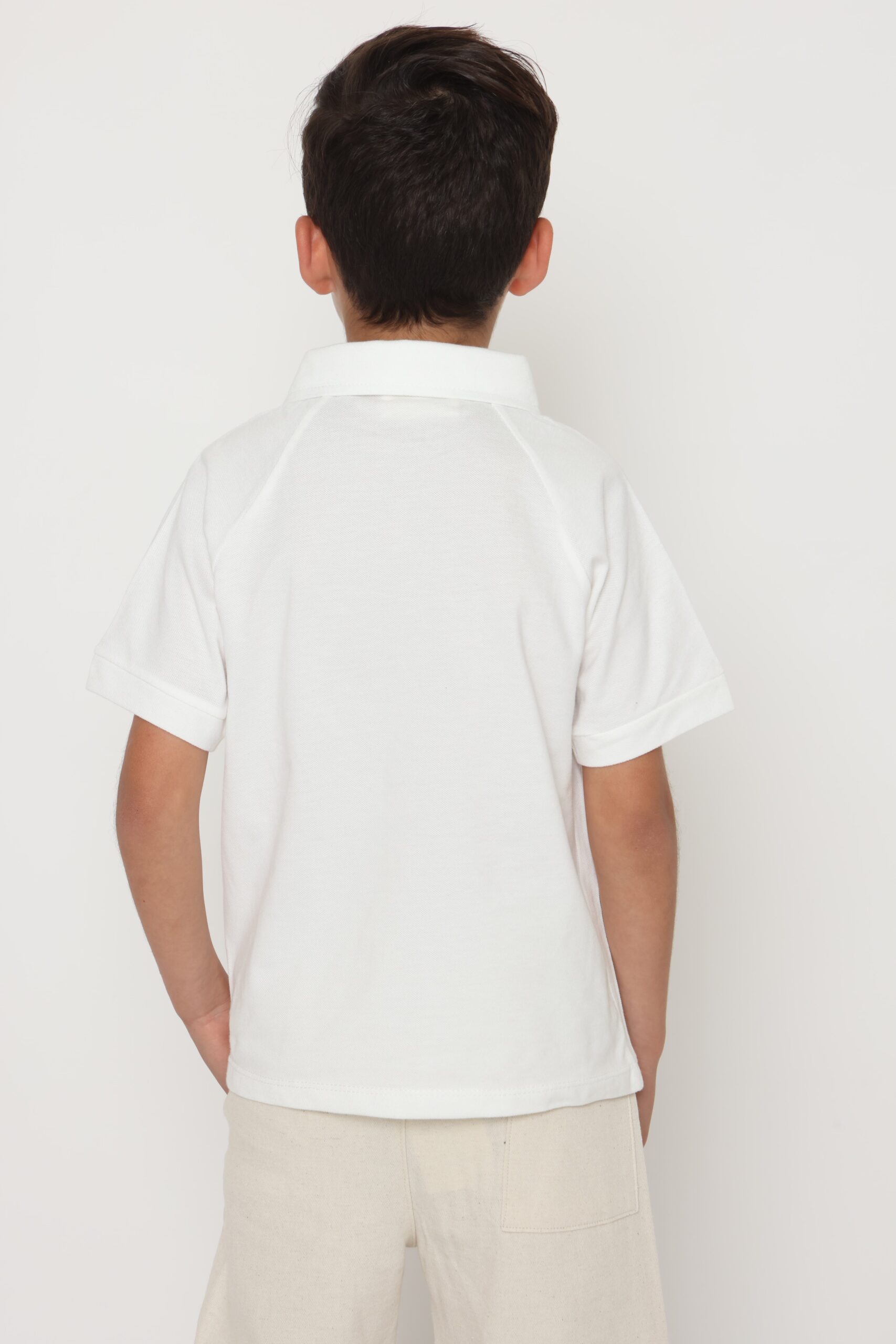 טי שירט גב משנית