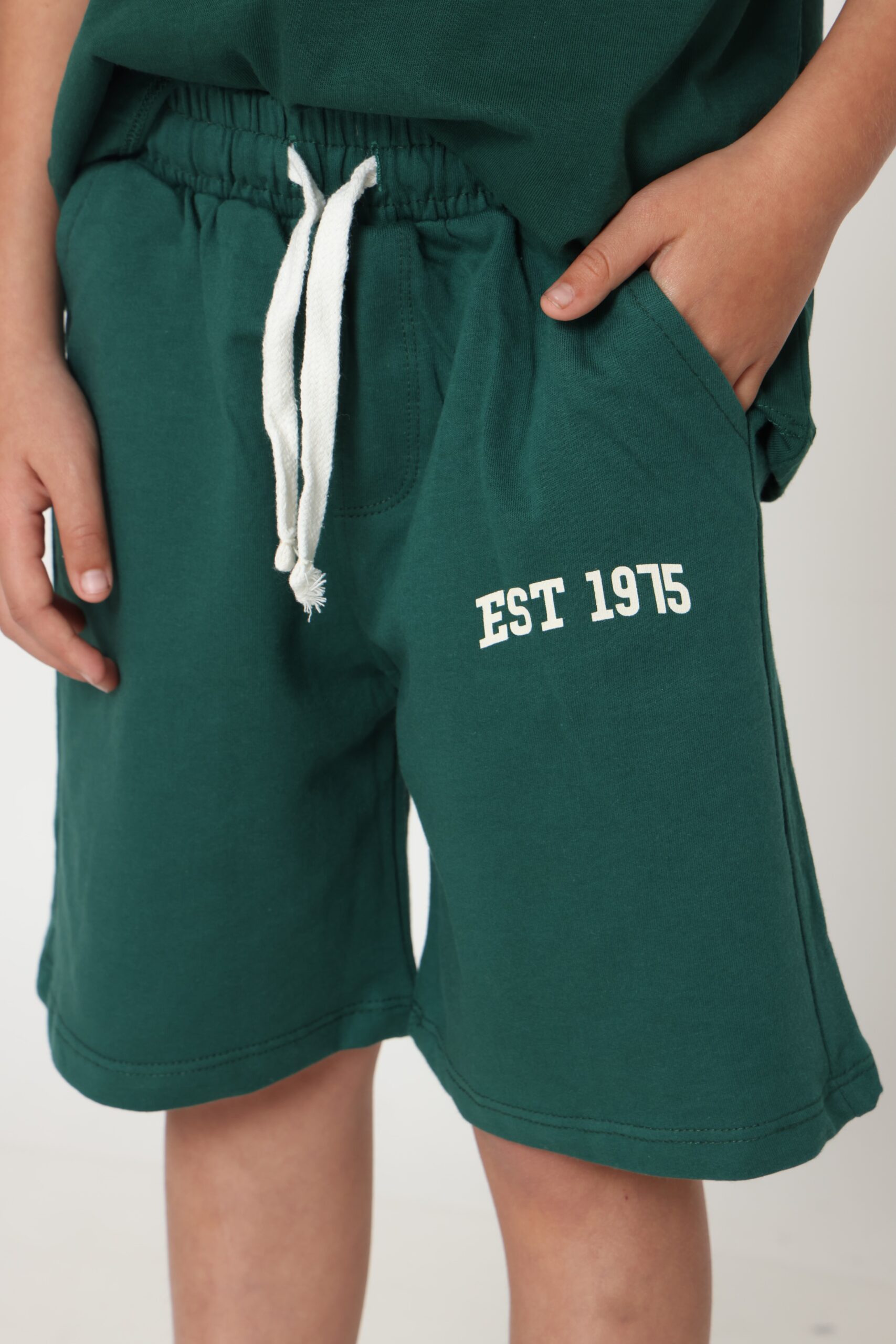 משנית דיטל (3)